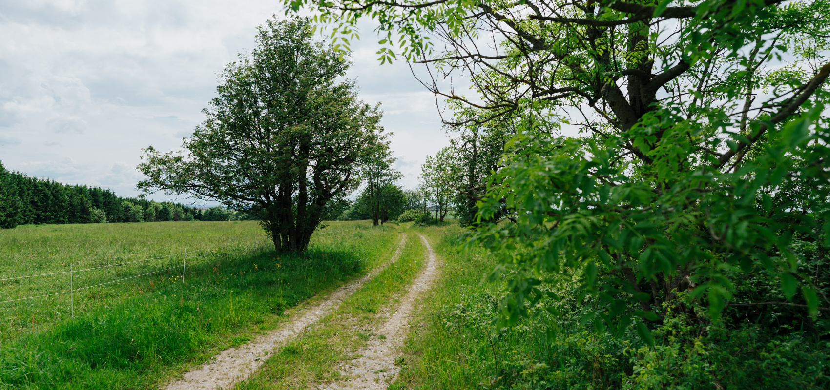 Moravská Sibiř Příroda